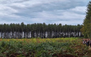 Mesnil sous Jumièges