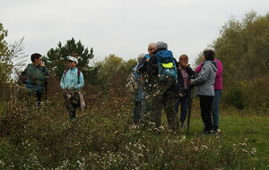 Sotteville sous le Val - oct/2025