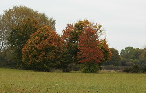 Sotteville sous le Val - oct/2025