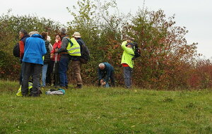 Sotteville sous le Val - oct/2025