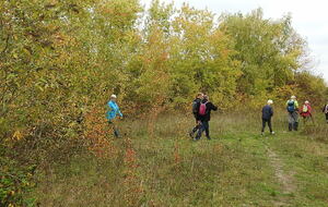Sotteville sous le Val - oct/2025