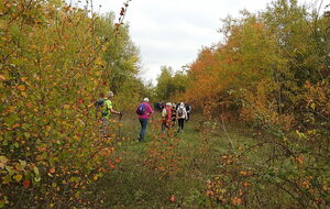 Sotteville sous le Val - oct/2025