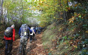 Martainville-Epreville