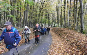 Martainville-Epreville