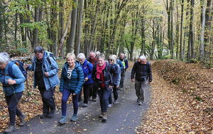 Martainville-Epreville