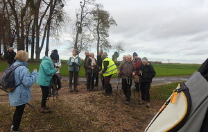 Bosguerard de Marcouville