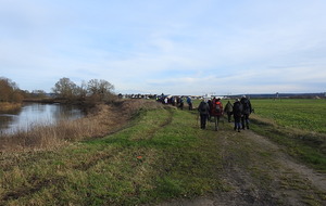 Criquebeuf-sur-Seine