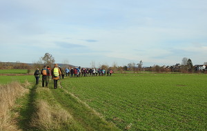 Criquebeuf-sur-Seine