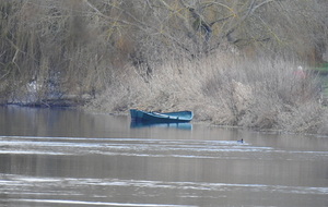 Criquebeuf-sur-Seine