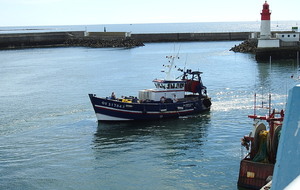 2ème jour : La Pointe de Penmarc'h - Le port de Guivinec