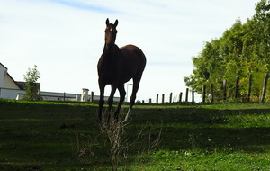 Fleury sur Andelle