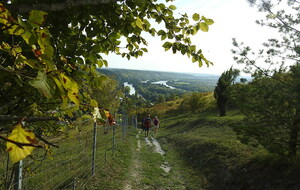 Saint-Adrien