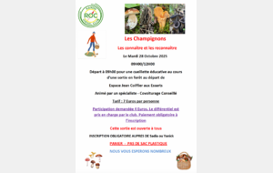 sortie champignons