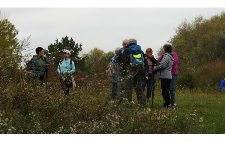 Sotteville sous le Val - oct/2025