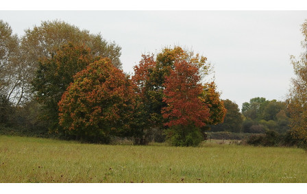Sotteville sous le Val - oct/2025