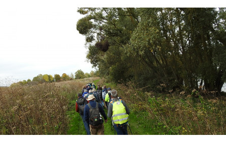 Sotteville sous le Val - oct/2025
