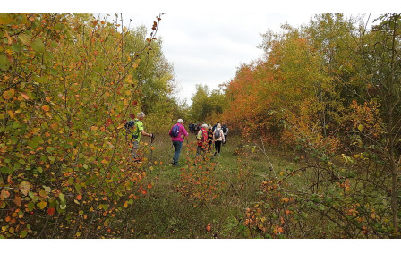 Sotteville sous le Val - oct/2025