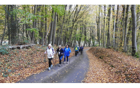 Martainville-Epreville