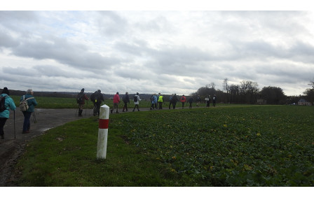 Bosguerard de Marcouville