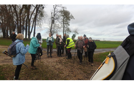 Bosguerard de Marcouville