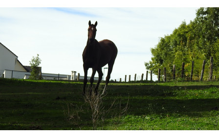 Fleury sur Andelle