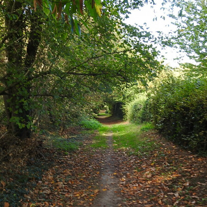 sortie du mardi au Petit Andelys le 6 octobre 2026 - Le Petit-Andelys