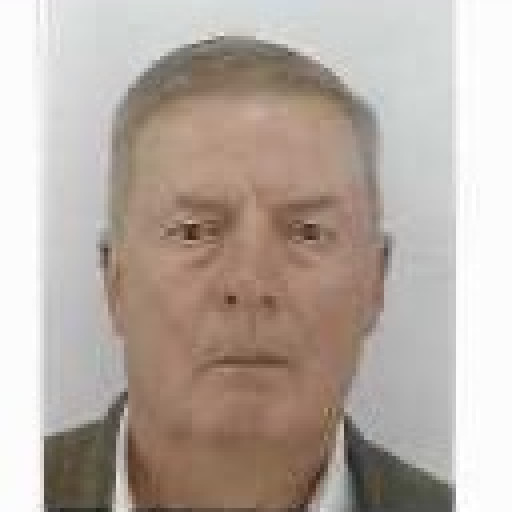 Alain Le Mauff